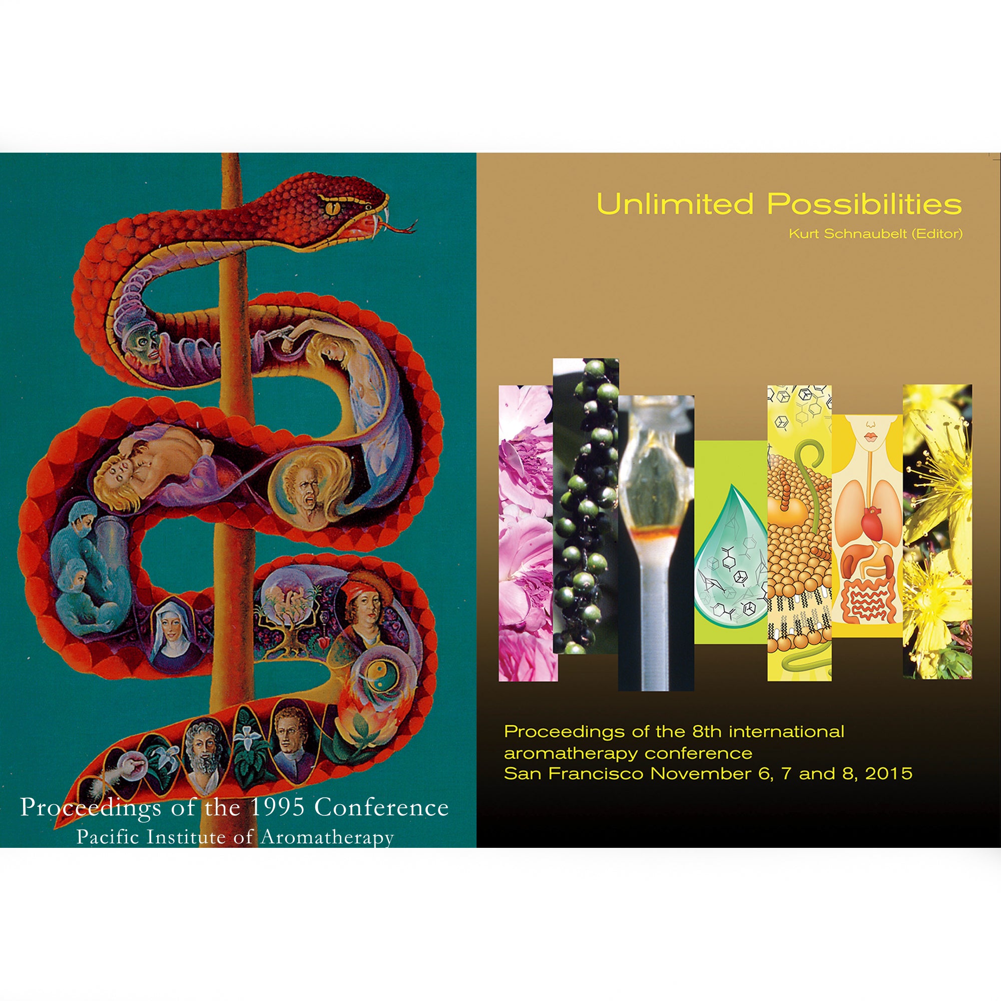 Contents of Proceedings by Dr. Kurt Schnaubelt