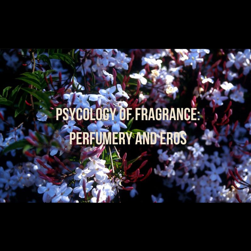 Perfumery & Eros PDF