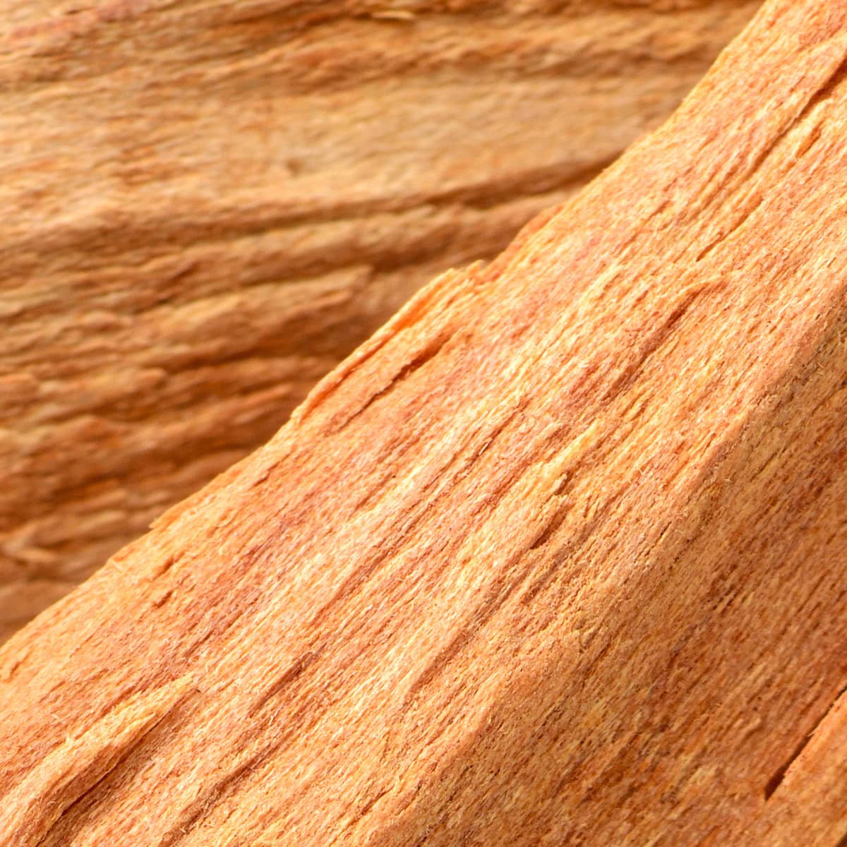 Sandalwood (Sri Lanka)