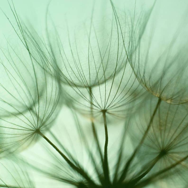 Zoom - Functional Perfume Class: Where Art, Science, and Scent Converge