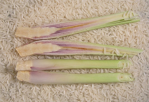 Lemongrass