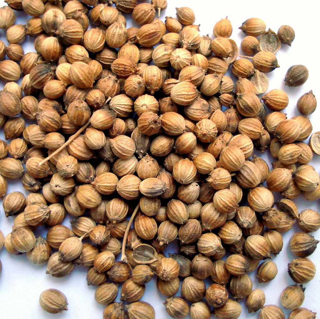 Coriander Seed