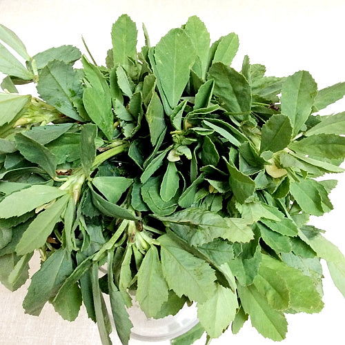 Fenugreek CO2