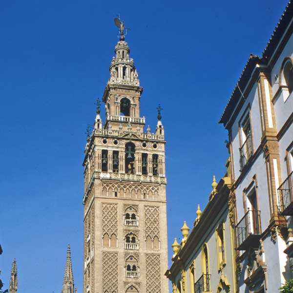 Neroli from Seville 2023