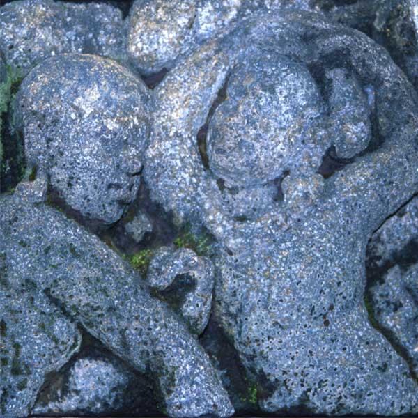 Agarwood (Papua Cohobation)
