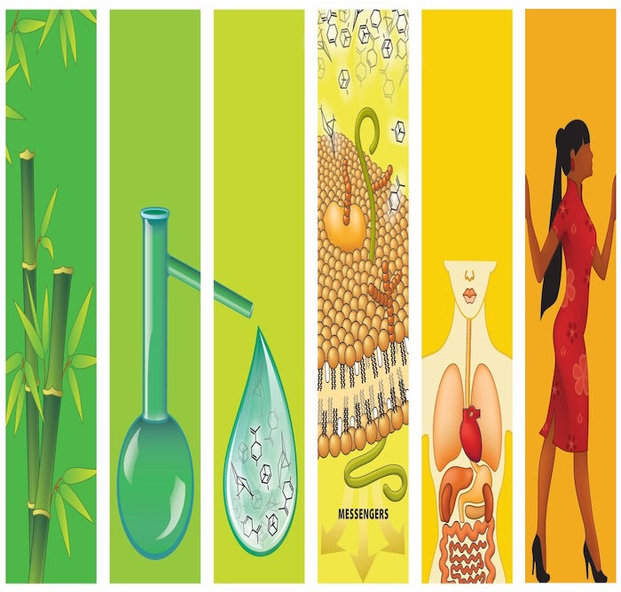 4th Edition Aromatherapy Course including 32 essential oils