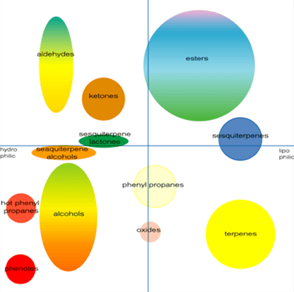 Essential Oil Chemistry Class: Functional Groups