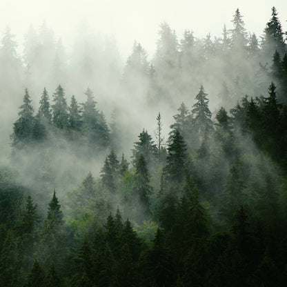 Crisp Rocky Mountains Diffuser Oil