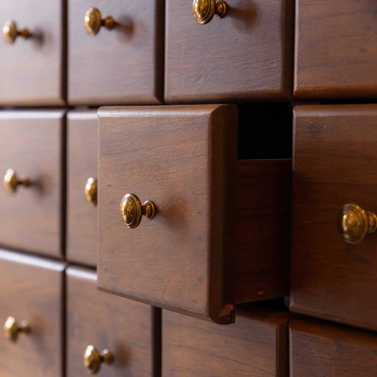 The Naturalist's Curated Collection, Volume 1