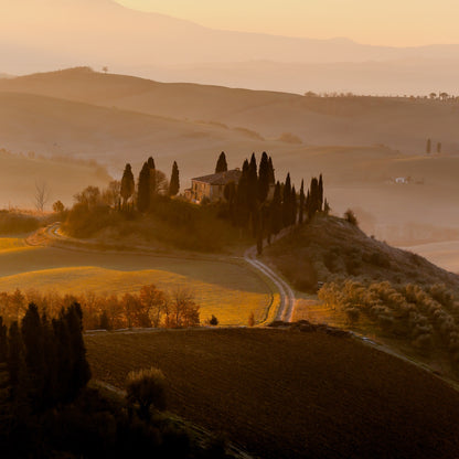 Glowing Tuscany Diffuser Oil