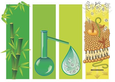 4th Edition Aromatherapy Course including 32 essential oils