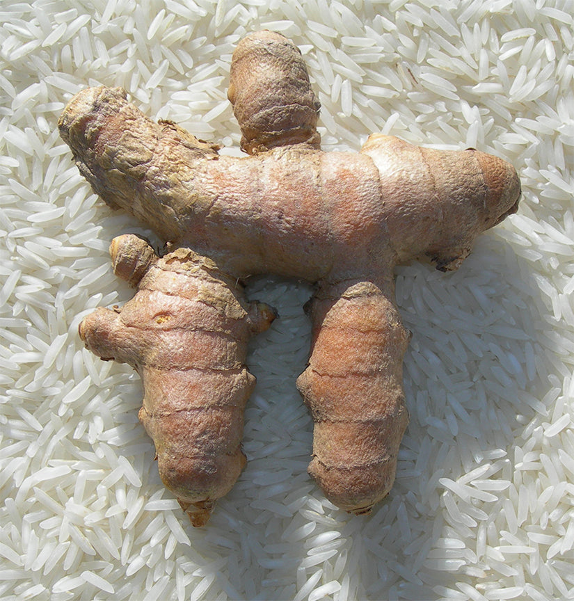 Turmeric CO2, Organic